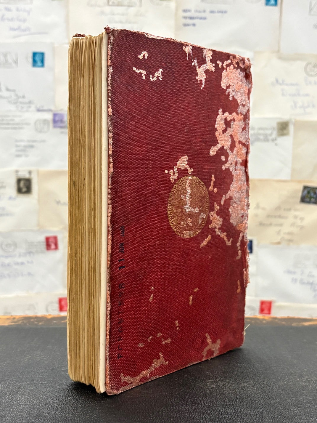 There Are Spiders In The Jungle Book, Altered Book Carving