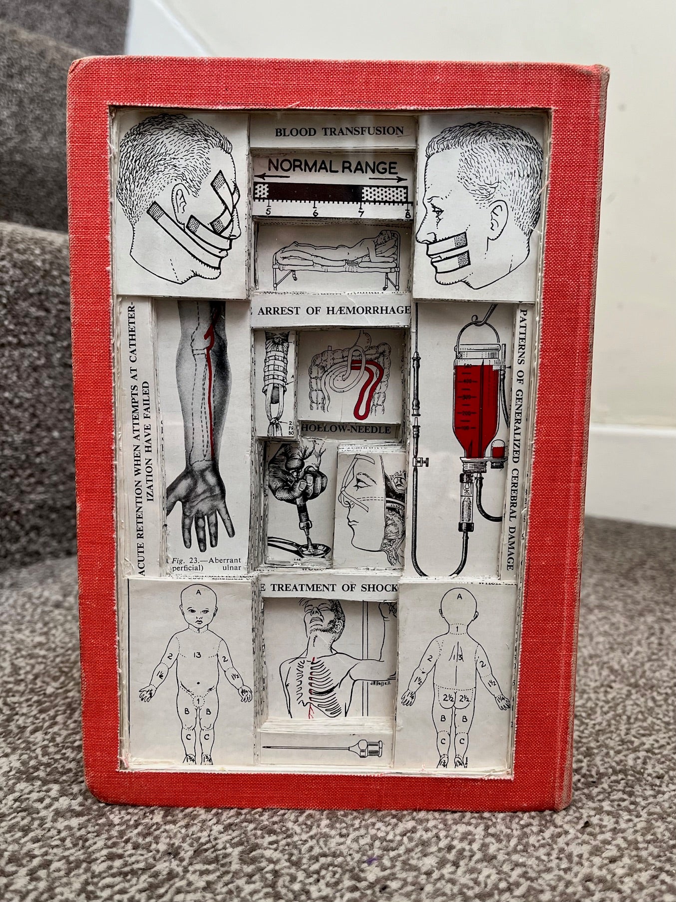 PYE'S Surgical Handicraft Book Carving/ Altered Book