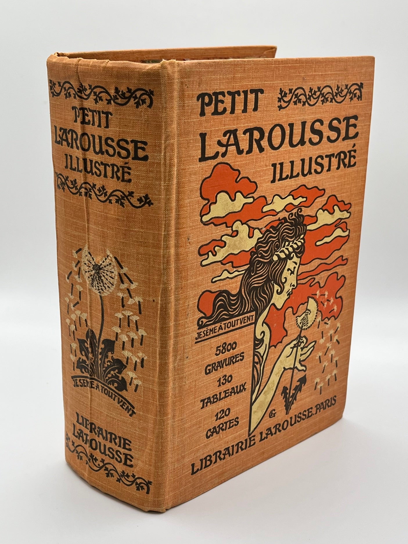 Larousse Dictionary Altered Book / Book Carving