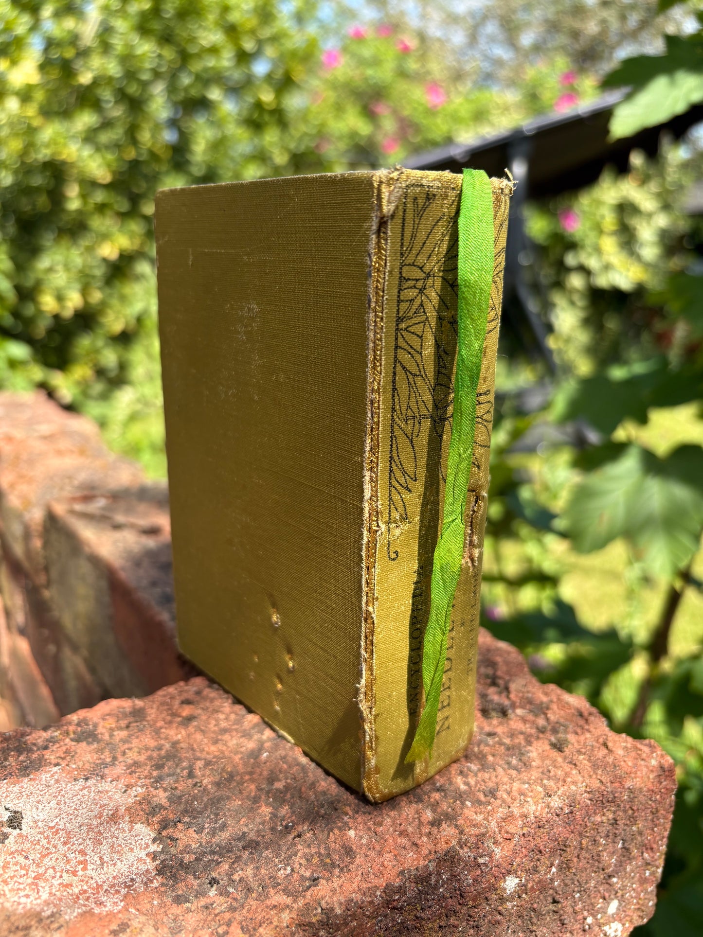 Little Needles Book Carving