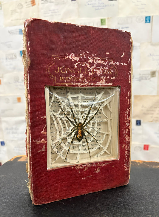 There Are Spiders In The Jungle Book, Altered Book Carving
