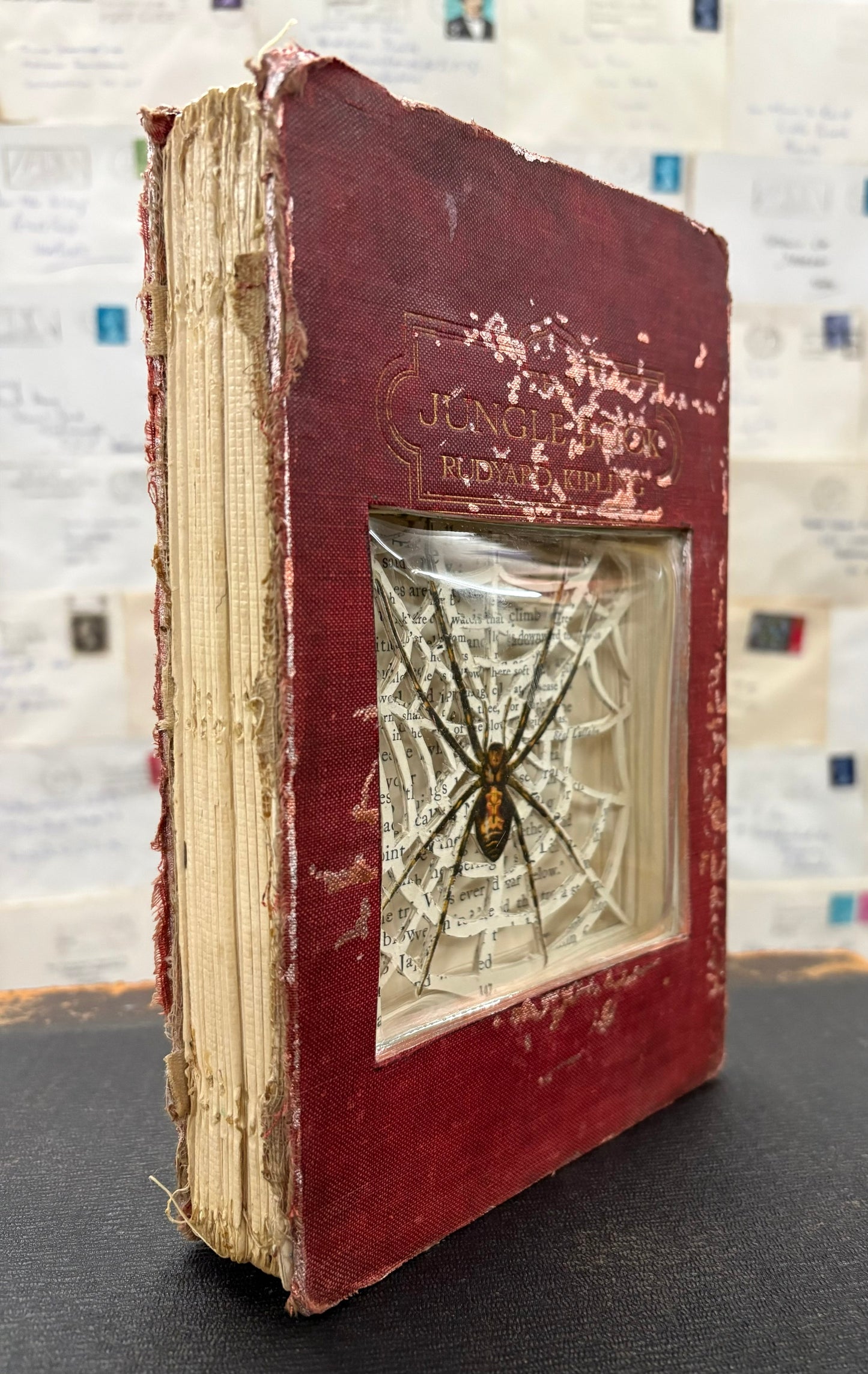 There Are Spiders In The Jungle Book, Altered Book Carving