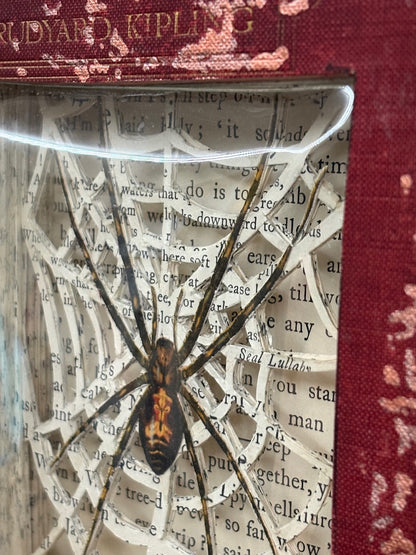 There Are Spiders In The Jungle Book, Altered Book Carving