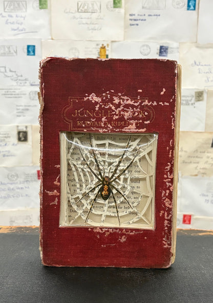 There Are Spiders In The Jungle Book, Altered Book Carving