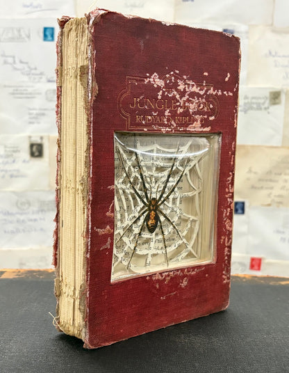 There Are Spiders In The Jungle Book, Altered Book Carving