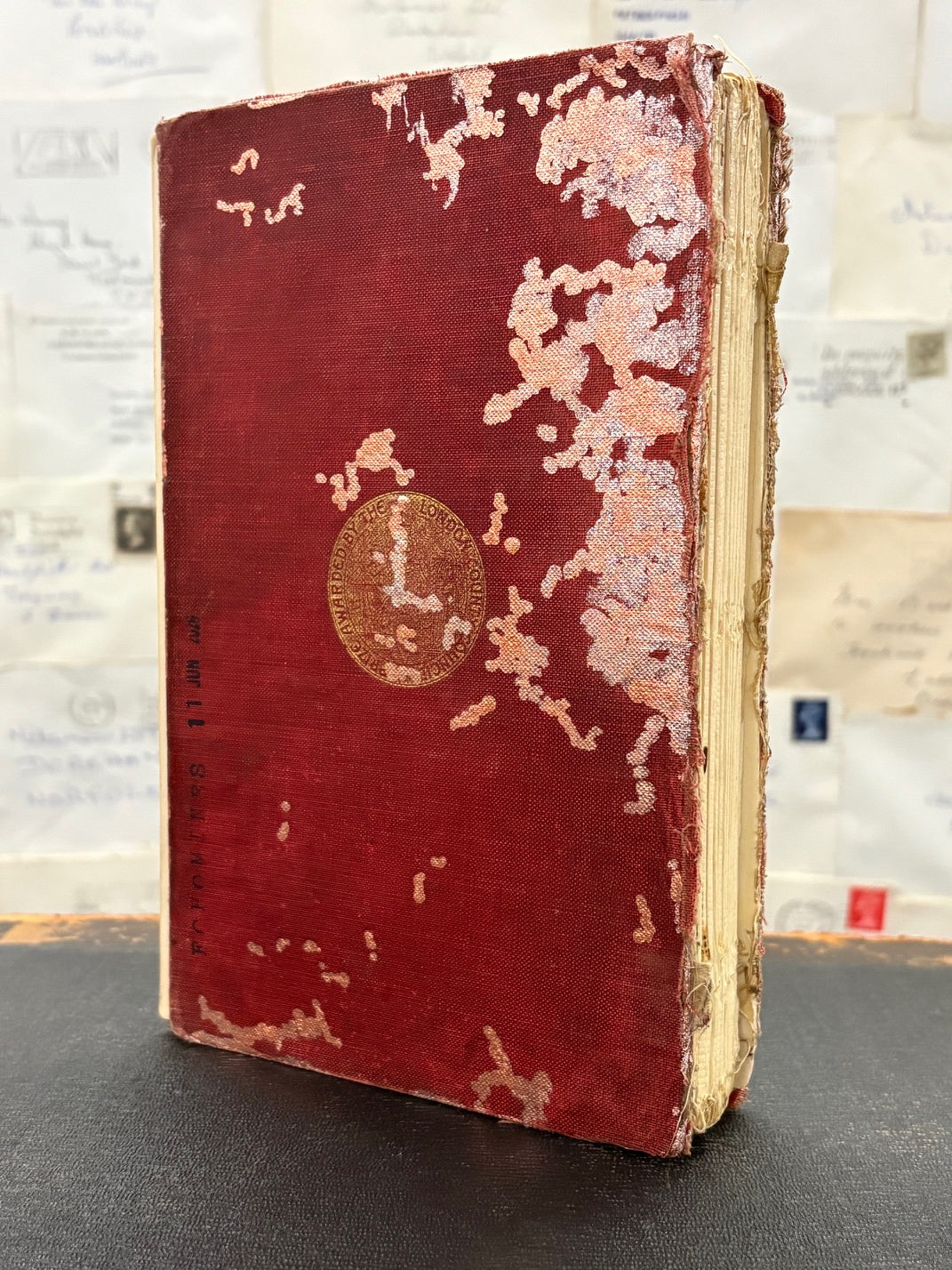 There Are Spiders In The Jungle Book, Altered Book Carving