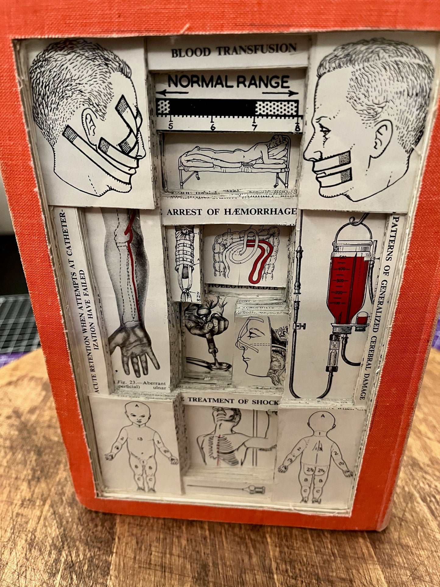 PYE'S Surgical Handicraft Book Carving/ Altered Book