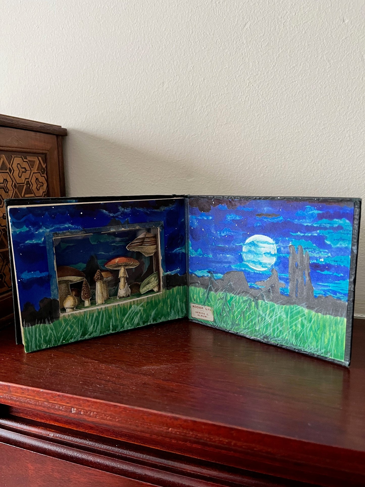 Kodak Mushroom Diorama, Small Upcycled Vintage Photograph Album.