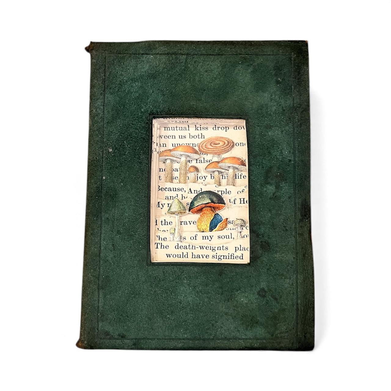 The Mini Mushroom Hill.  Small Altered Book Art