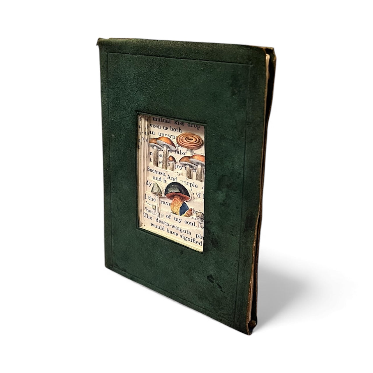 The Mini Mushroom Hill.  Small Altered Book Art