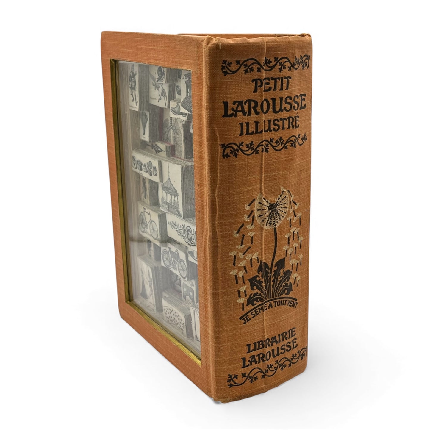 Larousse Dictionary Altered Book / Book Carving