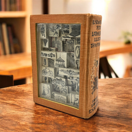 Larousse Dictionary Altered Book / Book Carving