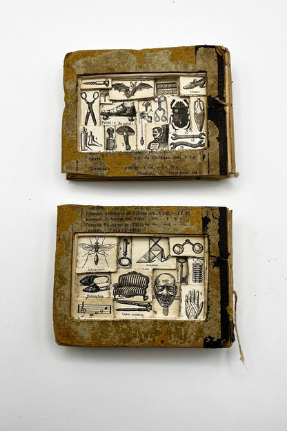 The Egg Books - Altered Book/ Book Carving in Vintage Glass Case