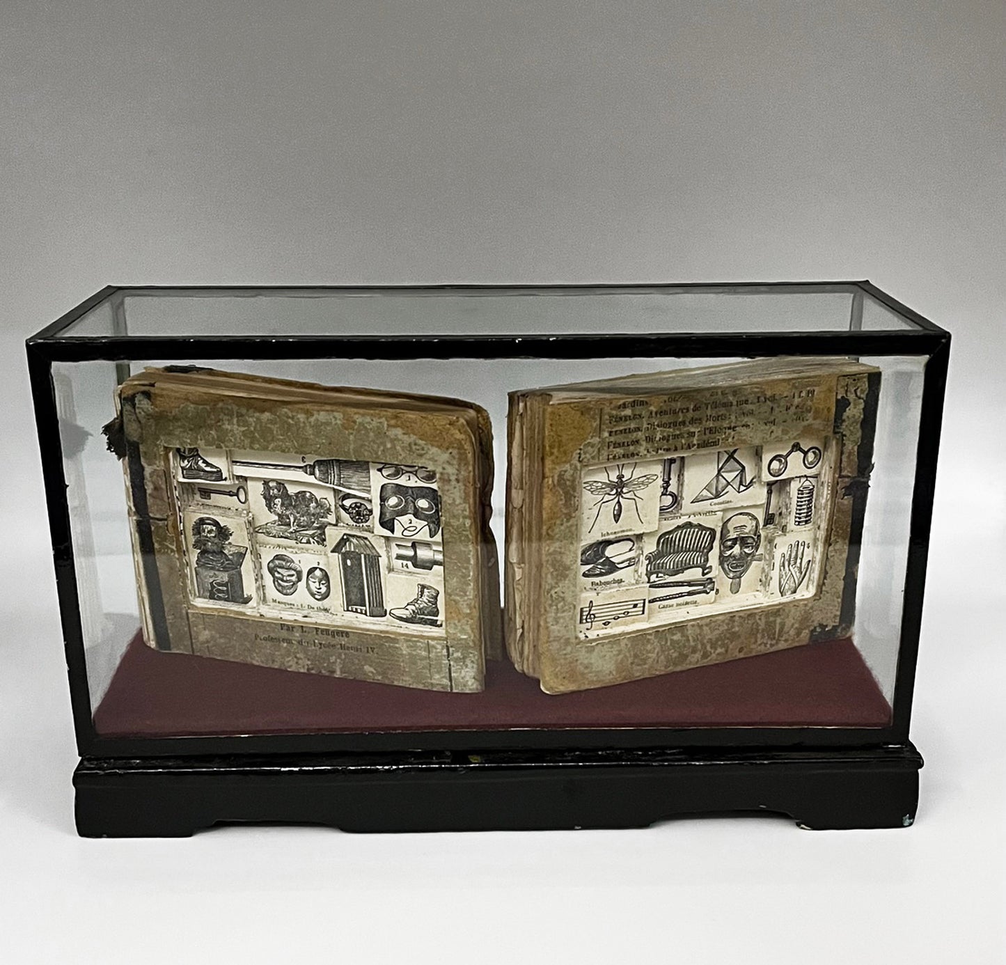 The Egg Books - Altered Book/ Book Carving in Vintage Glass Case