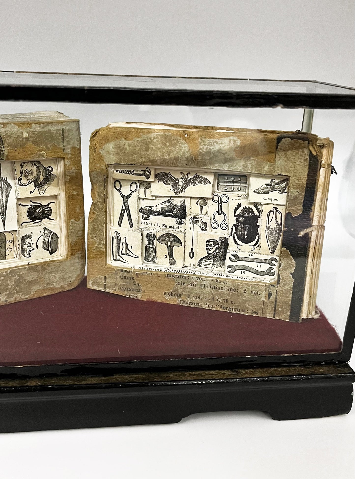 The Egg Books - Altered Book/ Book Carving in Vintage Glass Case