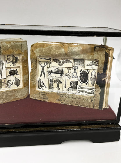The Egg Books - Altered Book/ Book Carving in Vintage Glass Case