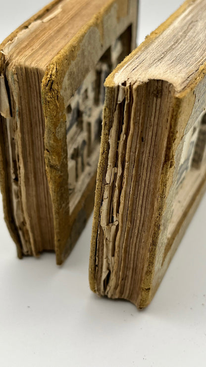 The Egg Books - Altered Book/ Book Carving in Vintage Glass Case