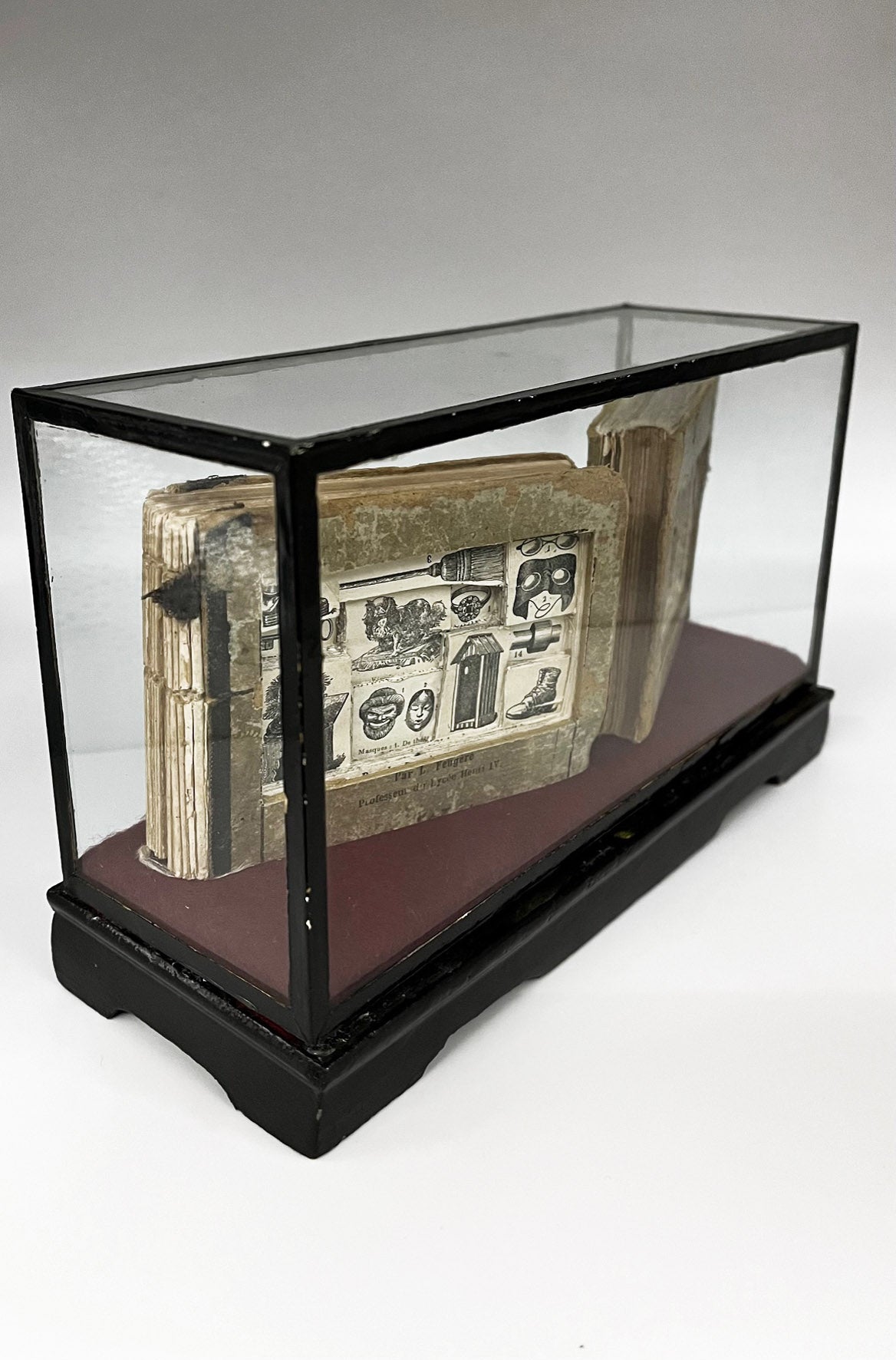 The Egg Books - Altered Book/ Book Carving in Vintage Glass Case