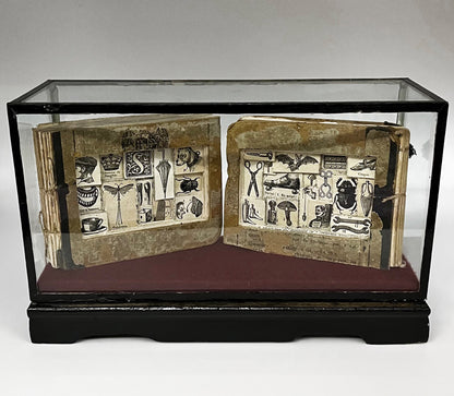 The Egg Books - Altered Book/ Book Carving in Vintage Glass Case