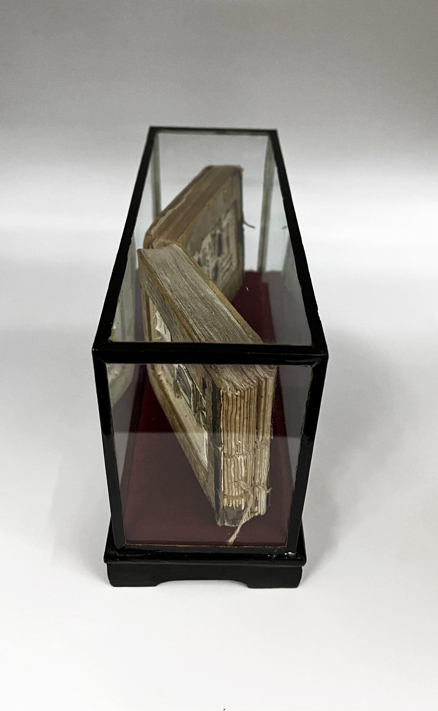 The Egg Books - Altered Book/ Book Carving in Vintage Glass Case