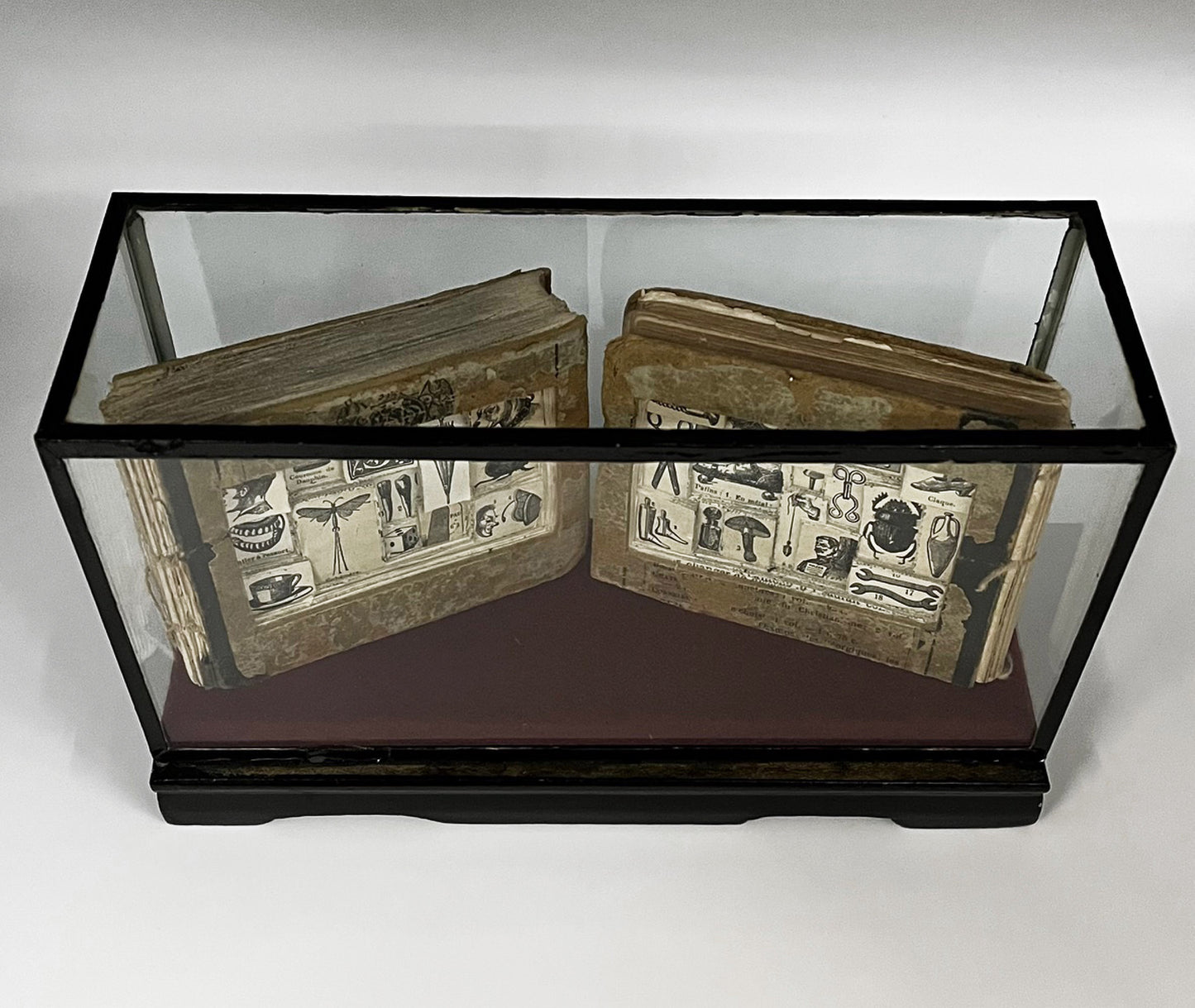 The Egg Books - Altered Book/ Book Carving in Vintage Glass Case