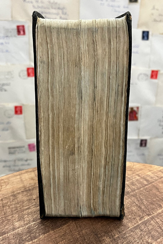 Schrödinger's Escape Plan.  Altered Book / Book Carving Schrödinger's Cat