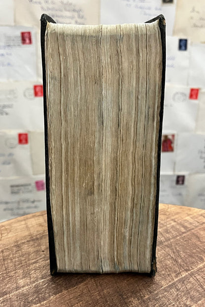 Schrödinger's Escape Plan.  Altered Book / Book Carving Schrödinger's Cat