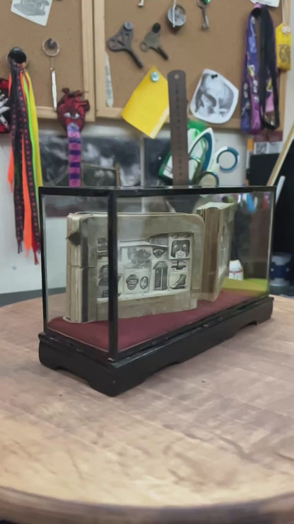 The Egg Books - Altered Book/ Book Carving in Vintage Glass Case