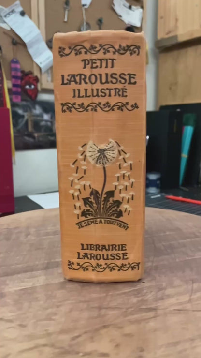 Larousse Dictionary Altered Book / Book Carving
