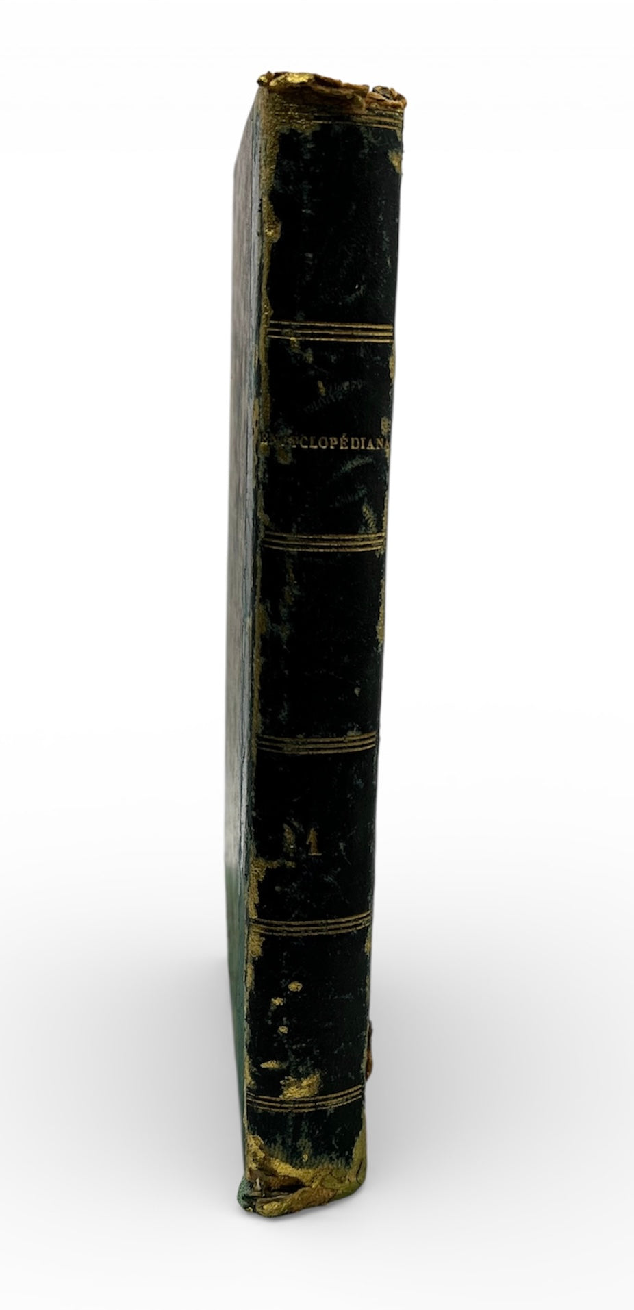 Any Path Will Do, Alice In Wonderland Altered Book. Book Carving.